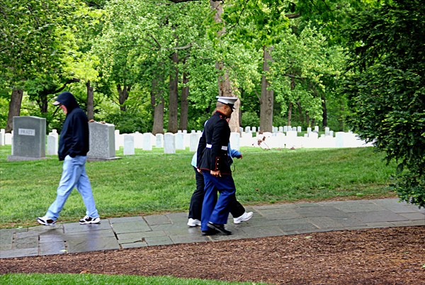 087-Арлингтонское национальное кладбище